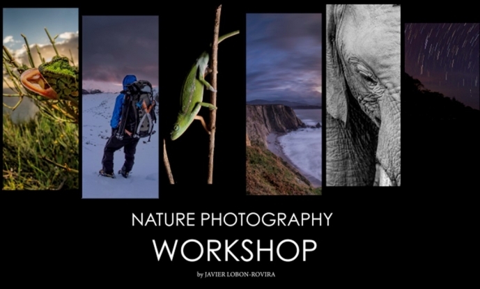 Nature Photography Workshop (Cancelled)