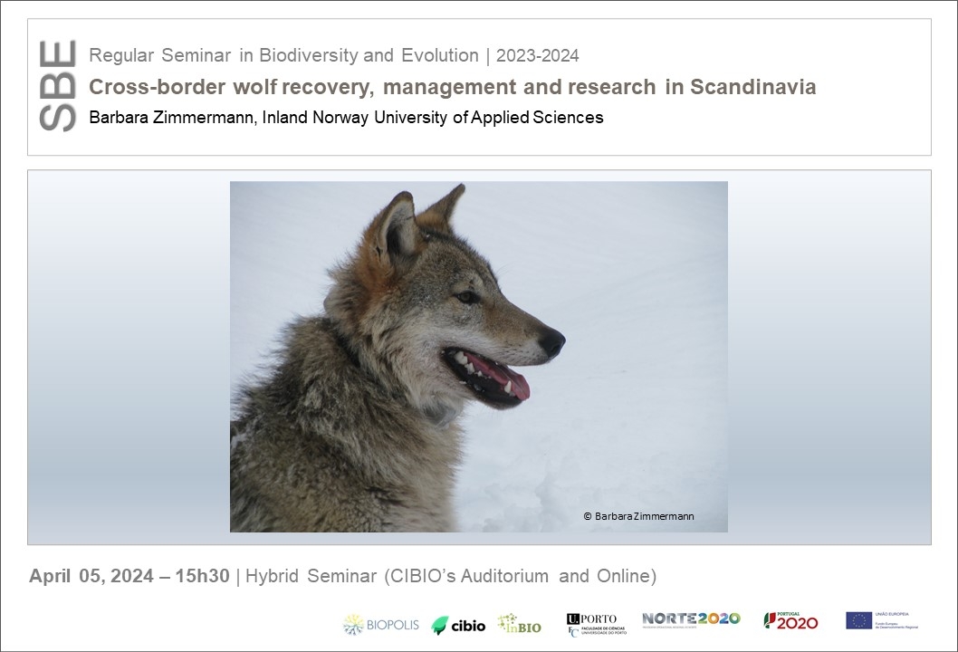 Cross-border wolf recovery, management and research in Scandinavia