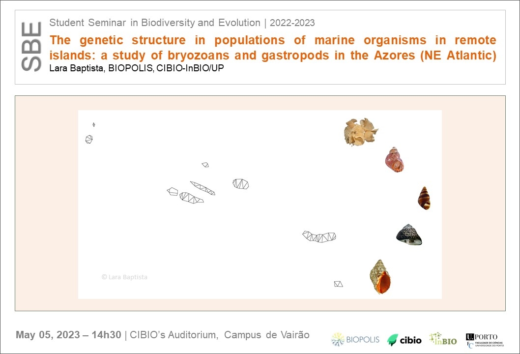The genetic structure in populations of marine organisms in remote islands: a study of bryozoans and gastropods in the Azores (NE Atlantic)