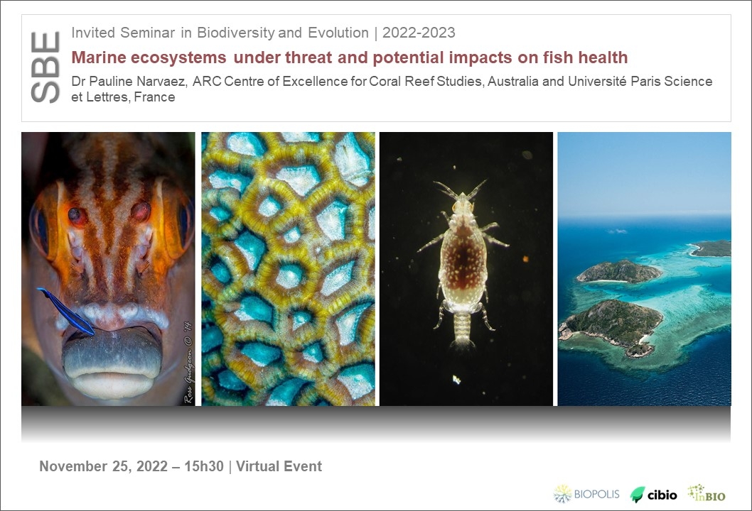Marine ecosystems under threat and potential impacts on fish health