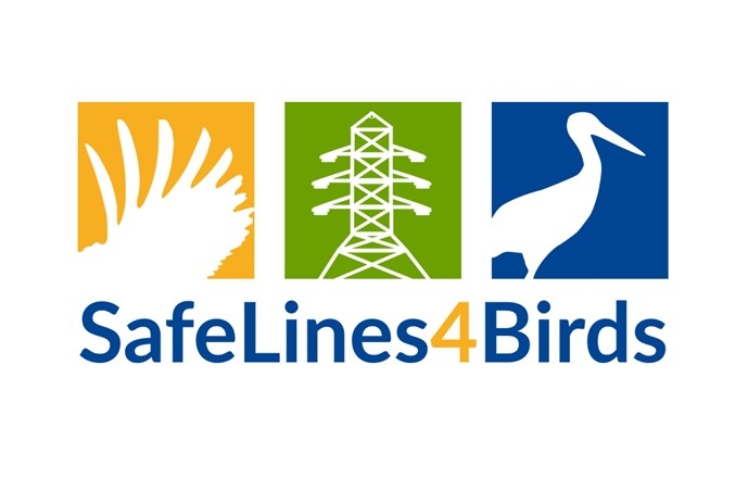 LIFE SafeLines4Birds – Reducing bird mortality caused by power lines