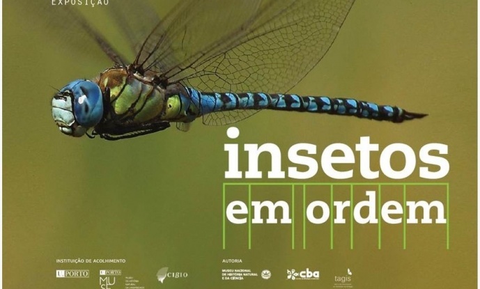 Insects in order