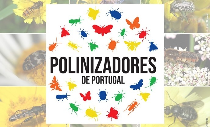 Pollinators of Portugal