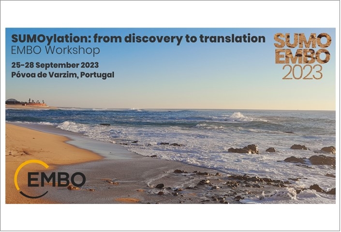 EMBO Workshop - SUMOylation: From discovery to translation