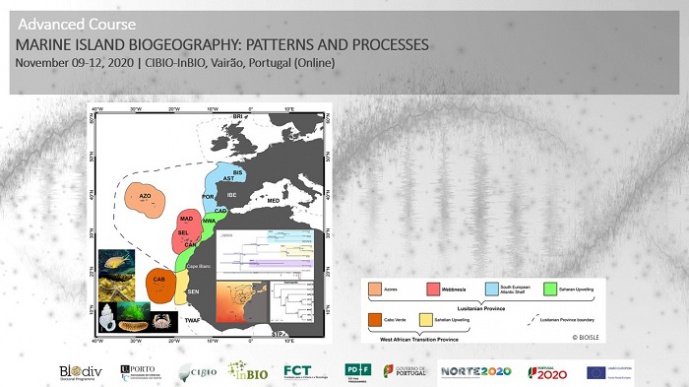 Marine island biogeography: patterns and processes