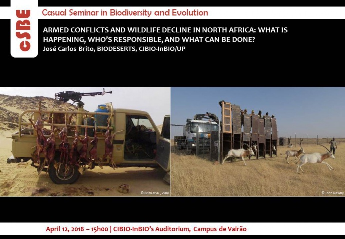 ARMED CONFLICTS AND WILDLIFE DECLINE IN NORTH AFRICA: WHAT IS HAPPENING, WHO’S RESPONSIBLE, AND WHAT CAN BE DONE?