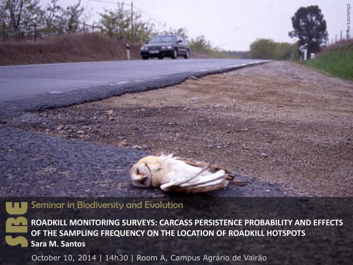 ROADKILL MONITORING SURVEYS: CARCASS PERSISTENCE PROBABILITY AND EFFECTS OF THE SAMPLING FREQUENCY ON THE LOCATION OF ROADKILL HOTSPOTS