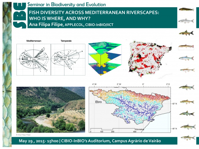FISH DIVERSITY ACROSS MEDITERRANEAN RIVERSCAPES: WHO IS WHERE, AND WHY?