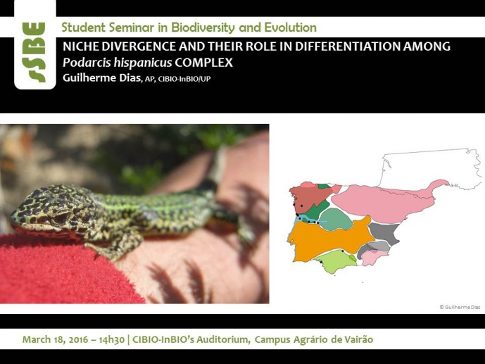 NICHE DIVERGENCE AND THEIR ROLE IN DIFFERENTIATION AMONG Podarcis hispanicus COMPLEX