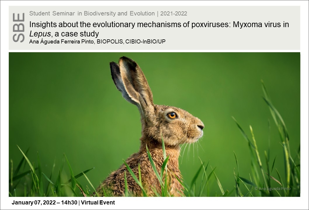 Insights about the evolutionary mechanisms of poxviruses: Myxoma virus in Lepus, a case study