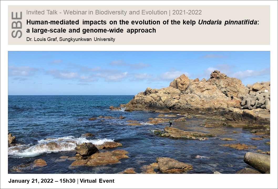 Human-mediated impacts on the evolution of the kelp <I>Undaria pinnatifida</I>: a large-scale and genome-wide approach