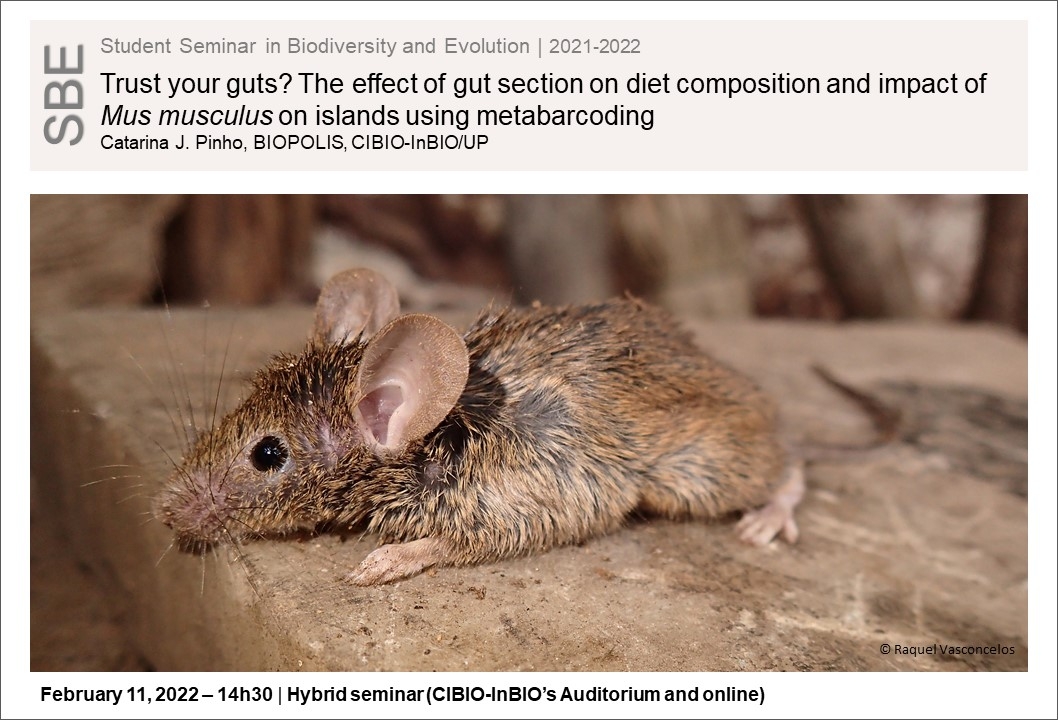 Trust your guts? The effect of gut section on diet composition and impact of <i>Mus musculus</i> on islands using metabarcoding
