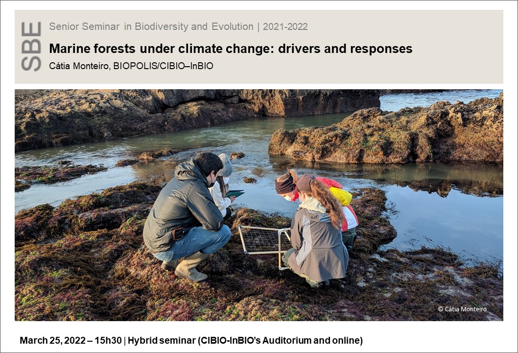 Marine forests under climate change: drivers and responses