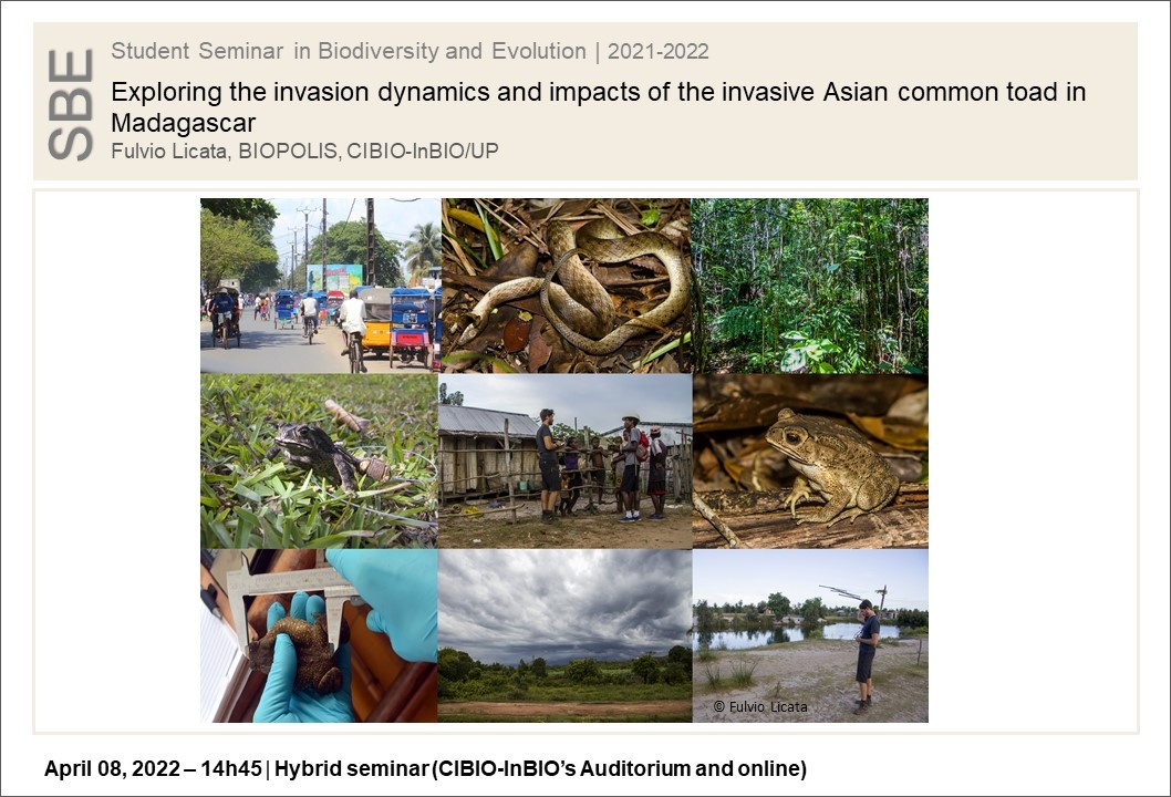 Exploring the invasion dynamics and impacts of the invasive Asian common toad in Madagascar