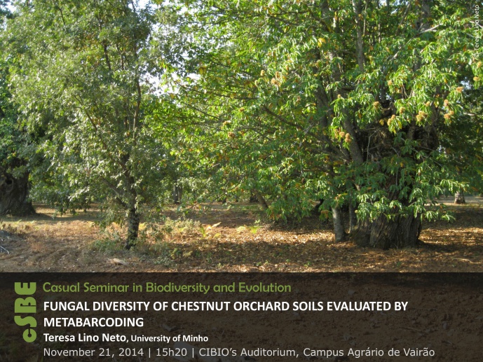 FUNGAL DIVERSITY OF CHESTNUT ORCHARD SOILS EVALUATED BY METABARCODING
