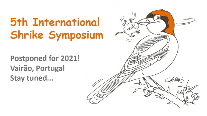 V INTERNATIONAL SHRIKE SYMPOSIUM 2020 | TIME IS UP! (POSTPONED FOR 2021)