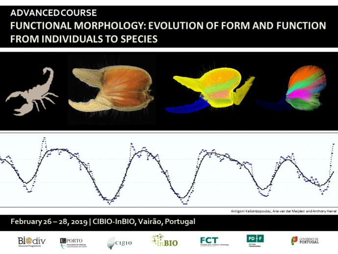 ADVANCED COURSE: FUNCTIONAL MORPHOLOGY: EVOLUTION OF FORM AND FUNCTION FROM INDIVIDUALS TO SPECIES