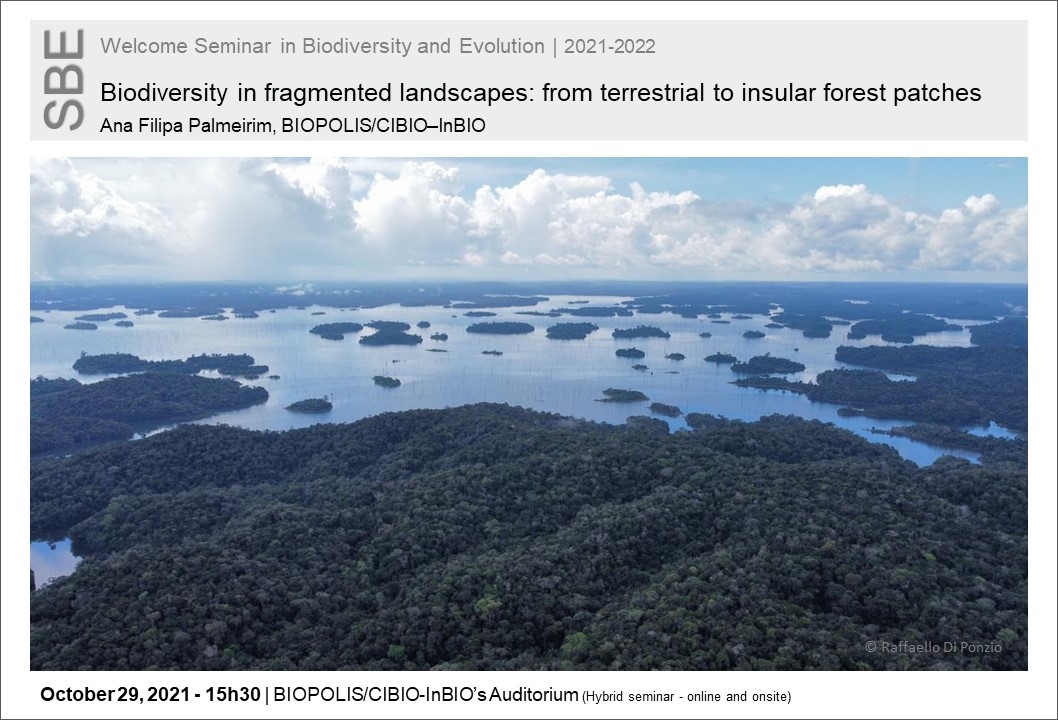 Biodiversity in fragmented landscapes: from terrestrial to insular forest patches