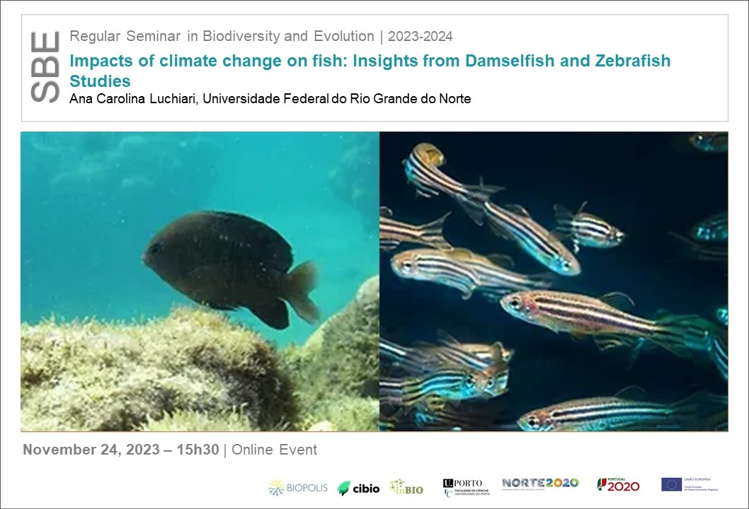 Impacts of climate change on fish: Insights from Damselfish and Zebrafish Studies
