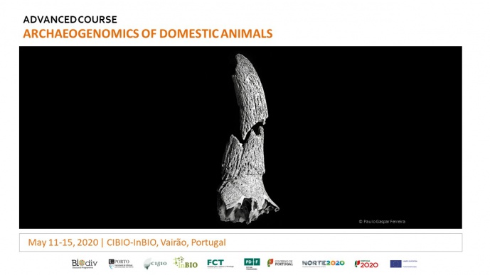 The archaeogenomics of domestic animals (CANCELLED)