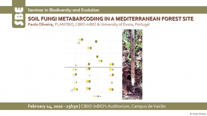 Soil fungi metabarcoding in a Mediterranean forest site