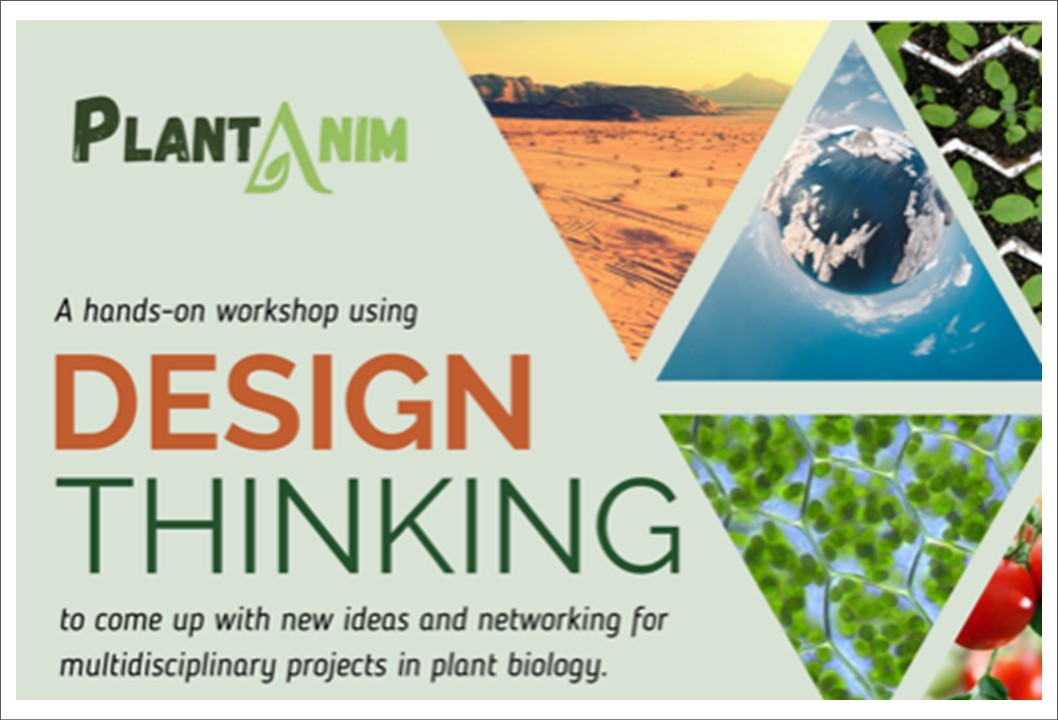 PlantAnim - Design Thinking Workshop