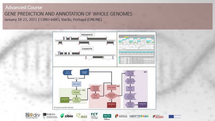 Gene prediction and annotation of whole genoms