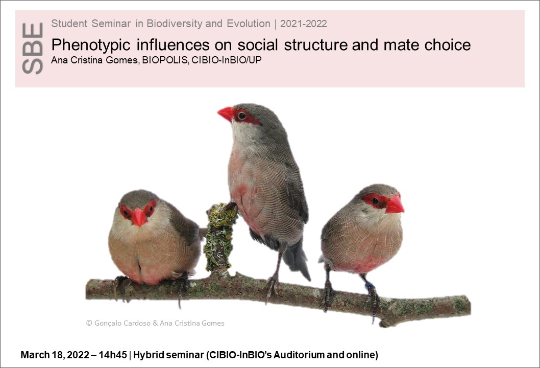 Phenotypic influences on social structure and mate choice