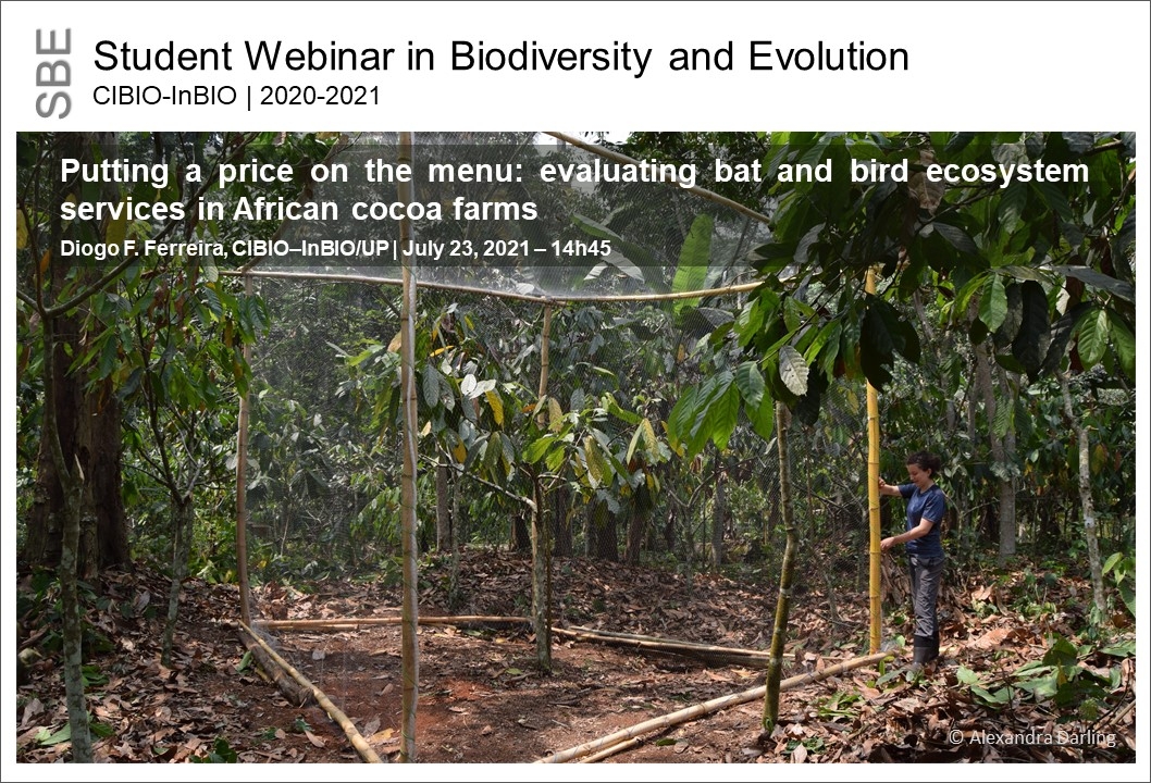 Putting a price on the menu: evaluating bat and bird ecosystem services in African cocoa farms