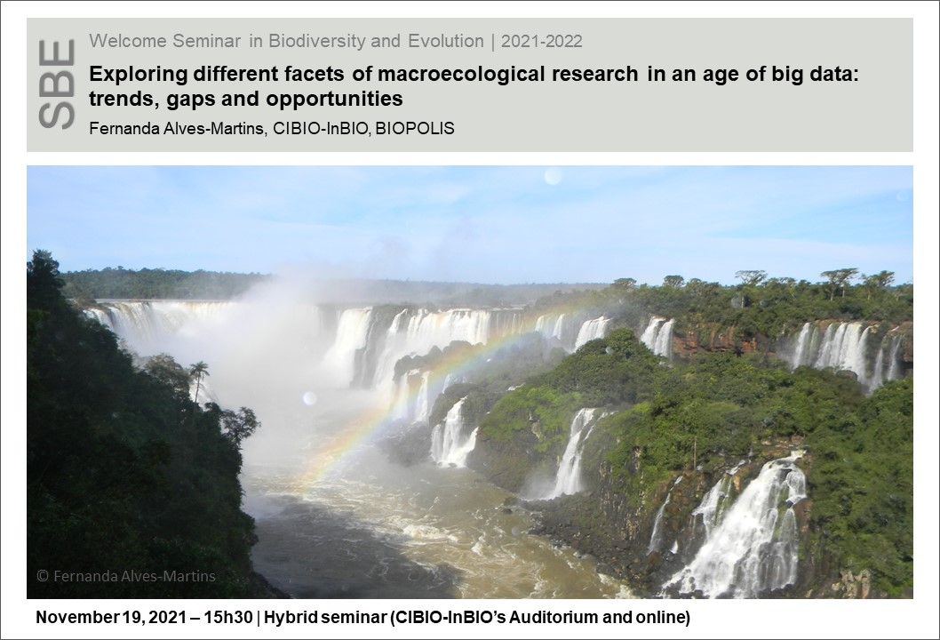 Exploring different facets of macroecological research in an age of big data: trends, gaps and opportunities