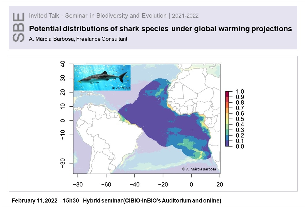 Potential distributions of shark species under global warming projections