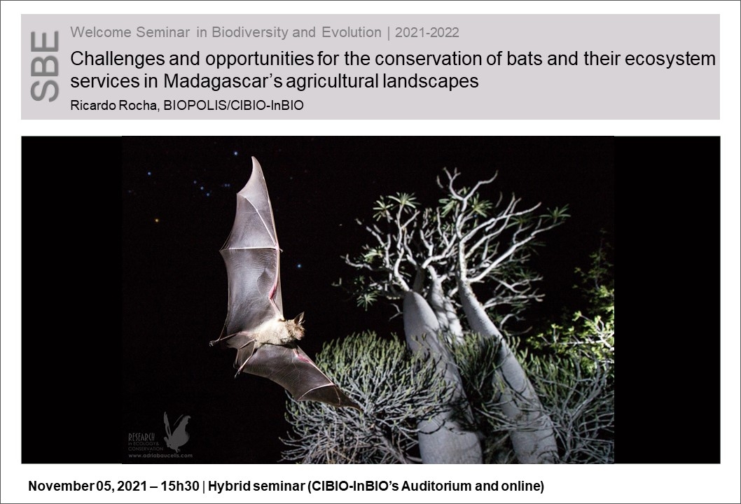 Challenges and opportunities for the conservation of bats and their ecosystem services in Madagascar’s agricultural landscapes