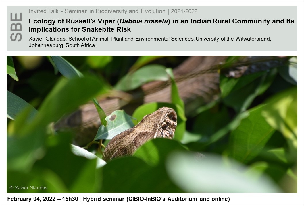 Ecology of Russell’s Viper (<i>Daboia russelii</i>) in an Indian Rural Community  and Its Implications for Snakebite Risk