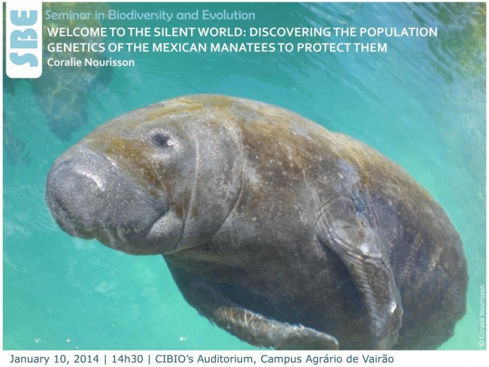 WELCOME TO THE SILENT WORLD: DISCOVERING THE POPULATION GENETICS OF THE MEXICAN MANATEES TO PROTECT THEM