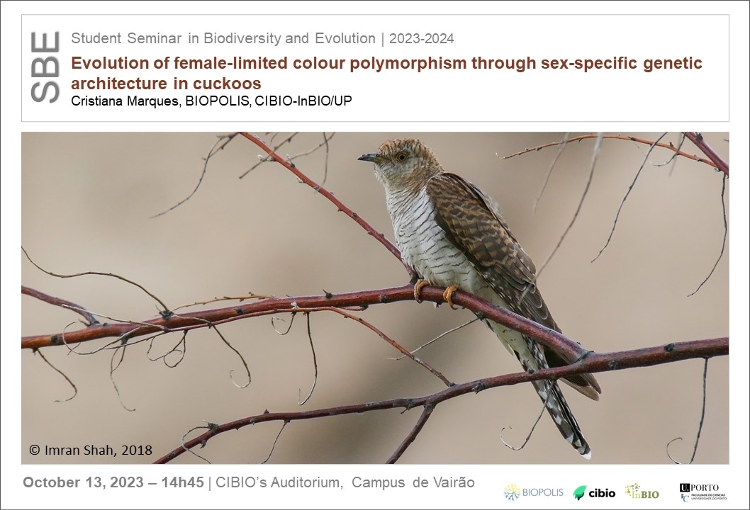 Evolution of female-limited colour polymorphism through sex-specific genetic architecture in cuckoos