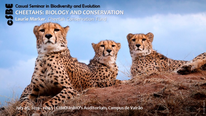 CHEETAHS: BIOLOGY AND CONSERVATION