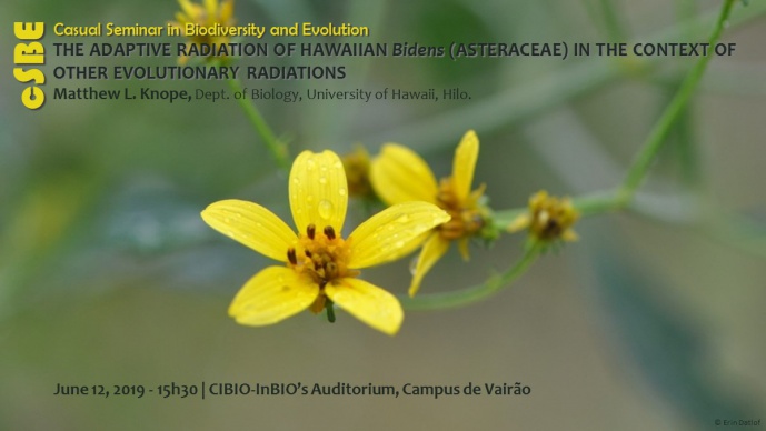 THE ADAPTIVE RADIATION OF HAWAIIAN Bidens (ASTERACEAE) IN THE CONTEXT OF OTHER EVOLUTIONARY RADIATIONS