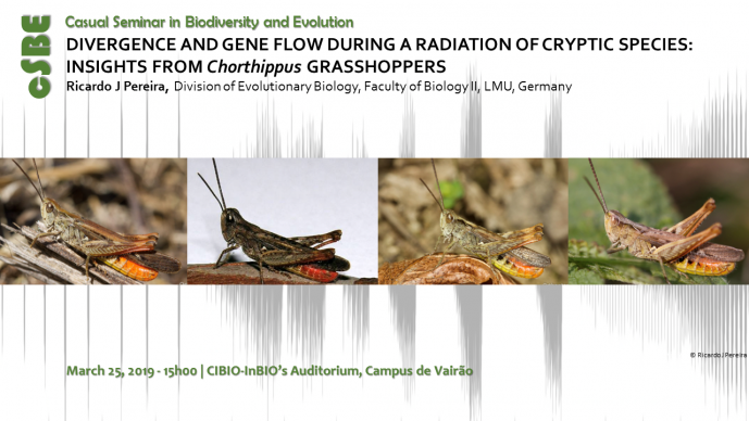 DIVERGENCE AND GENE FLOW DURING A RADIATION OF CRYPTIC SPECIES: INSIGHTS FROM Chorthippus GRASSHOPPERS