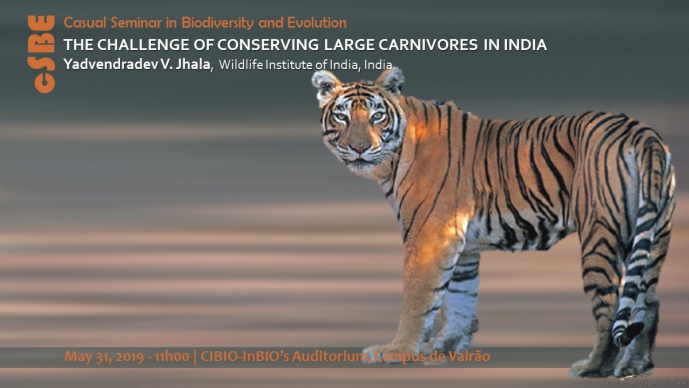 THE CHALLENGE OF CONSERVING LARGE CARNIVORES IN INDIA