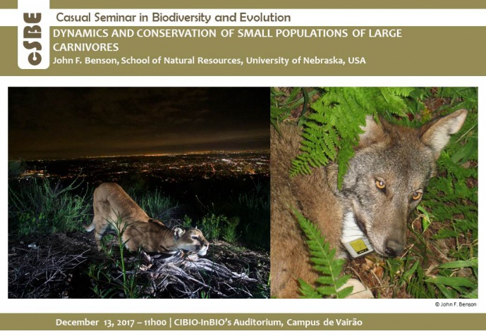DYNAMICS AND CONSERVATION OF SMALL POPULATIONS OF LARGE CARNIVORES