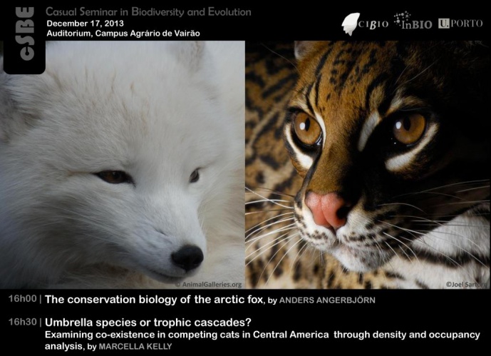 ECOLOGY AND CONSERVATION OF MAMMAL SPECIES