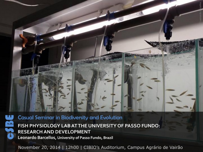 FISH PHYSIOLOGY LAB AT THE UNIVERSITY OF PASSO FUNDO: RESEARCH AND DEVELOPMENT