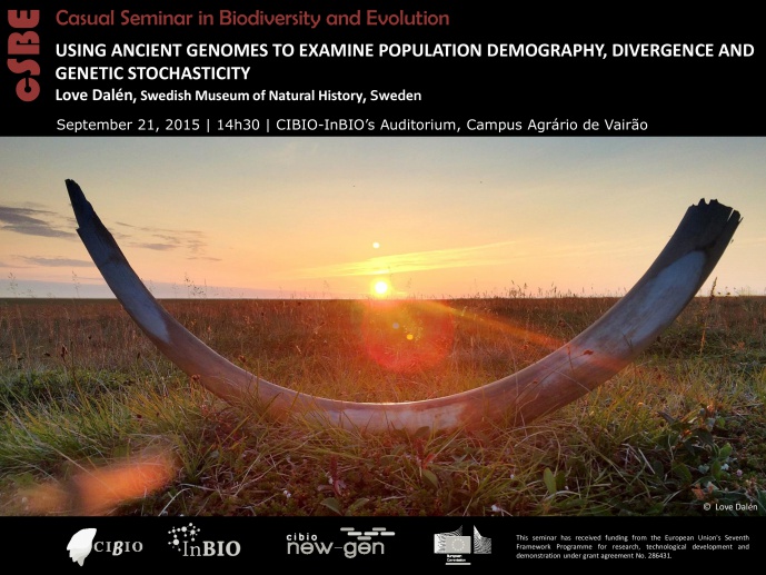 USING ANCIENT GENOMES TO EXAMINE POPULATION DEMOGRAPHY, DIVERGENCE AND GENETIC STOCHASTICITY