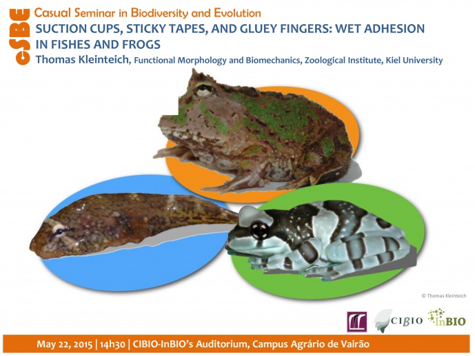 SUCTION CUPS, STICKY TAPES, AND GLUEY FINGERS: WET ADHESION IN FISHES AND FROGS