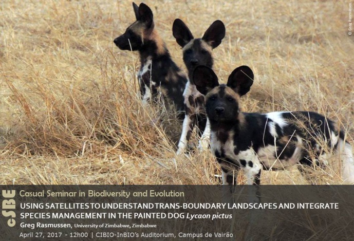 USING SATELLITES TO UNDERSTAND TRANS-BOUNDARY LANDSCAPES AND INTEGRATE SPECIES MANAGEMENT IN THE PAINTED DOG Lycaon pictus