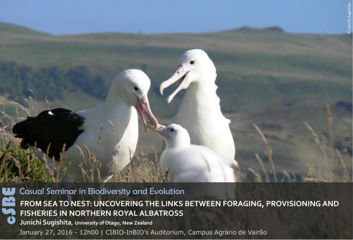 FROM SEA TO NEST: UNCOVERING THE LINKS BETWEEN FORAGING, PROVISIONING AND FISHERIES IN NORTHERN ROYAL ALBATROSS