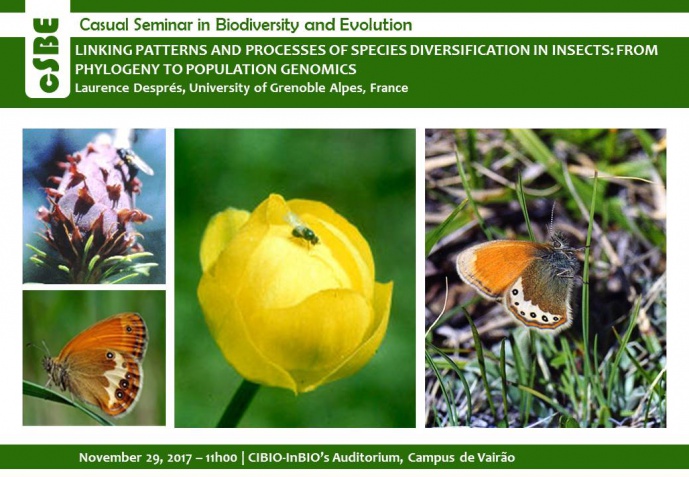 LINKING PATTERNS AND PROCESSES OF SPECIES DIVERSIFICATION IN INSECTS: FROM PHYLOGENY TO POPULATION GENOMICS