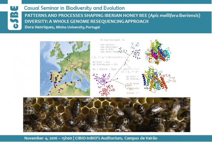 PATTERNS AND PROCESSES SHAPING IBERIAN HONEY BEE (Apis mellifera iberiensis) DIVERSITY: A WHOLE GENOME RESEQUENCING APPROACH