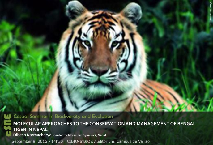 MOLECULAR APPROACHES TO THE CONSERVATION AND MANAGEMENT OF BENGAL TIGER IN NEPAL