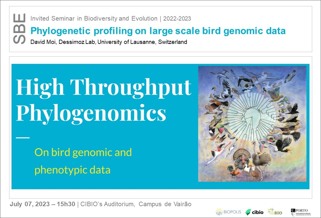 Phylogenetic profiling on large scale bird genomic data